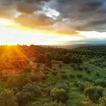 Borgo Lejlighed